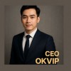 anhhungokviptop