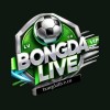 bongdaliveco