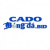 cadobongdabid