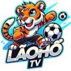 laohotvin