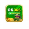 ok365works