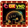 okvndcom