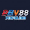 pbv88bid