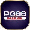 pg88vin