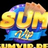 sumvipdev1