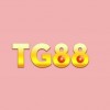 tg88appnet