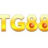 tg88supply
