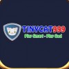 tinycat99casino