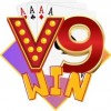 v9winspace1